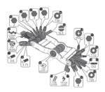 SHIMANO PRO 20 Funciones - Imagen 8